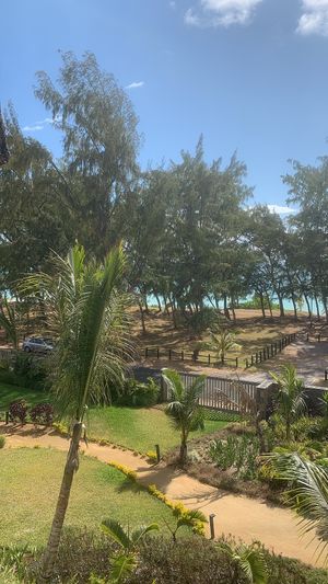   at Sunrise Attitude in Flacq