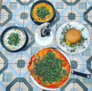 Lots of Microgreens at Superfood Garden in Mallorca