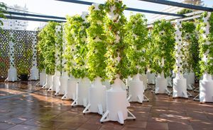 Open Terrace Garden at Superfood Garden in Mallorca