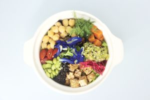  at Tonklar Facai - Mahidol Salaya in Nakhon Pathom