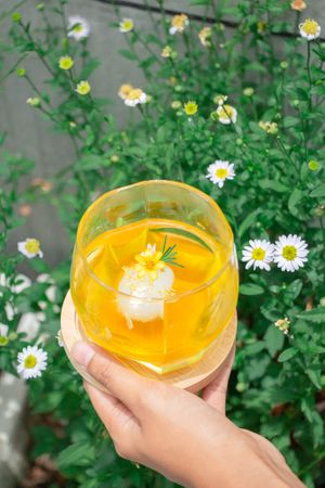 AIYU Jelly at Tonklar Facai - Mahidol Salaya in Nakhon Pathom