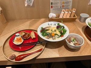 Dumpling, ramen, and rice and vegan cheese dish at Uno Yukiko - Gion Soy Milk Ramen - ぎをん豆乳らーめん うのゆきこ in Kyoto