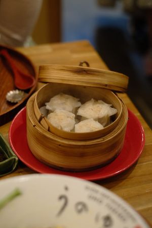 Dumplings at Uno Yukiko - Gion Soy Milk Ramen - ぎをん豆乳らーめん うのゆきこ in Kyoto