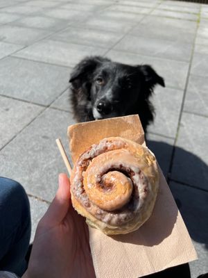  at AMONA Basque Vegan Food - Tafalla in Pamplona