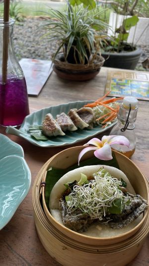 Portabello edamame gyoza and gado gado bao  at Bao Bao Asian Eatery in Koh Samui