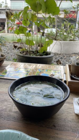 Miso soup  at Bao Bao Asian Eatery in Koh Samui