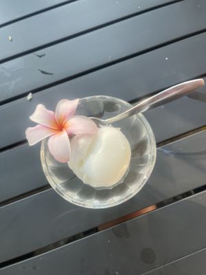   at Bao Bao Asian Eatery in Koh Samui