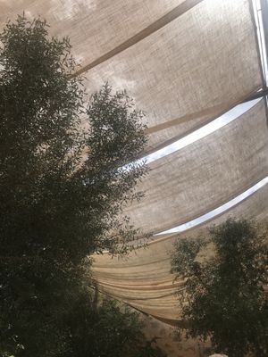   at Terraorigens in Mallorca