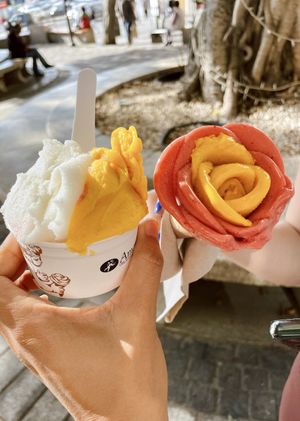  #Veganuary at Amorino in Sliema