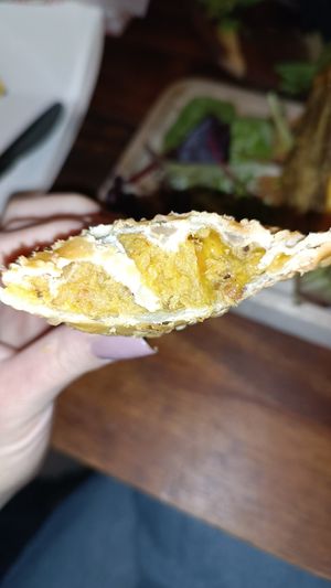  at Next Stop Vegan in Brooklyn