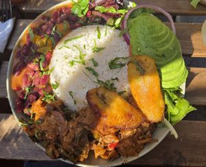 La Bandera. Lots if rice. at Next Stop Vegan in Brooklyn