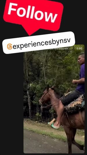 Promoting their other business which apparently includes using animals for recreation  at NSV Creative Caribbean Kitchen in Brooklyn