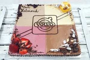 Four-kind raw vegan cake consisting of coffee mocca, lime, strawberry and fig-chocolate. Decorated with inscriptions and a logo made of chocolate. at Raw Planet in Prague