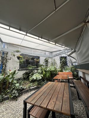Some of the plants and outdoor seating   at La Diagonal in Bogota