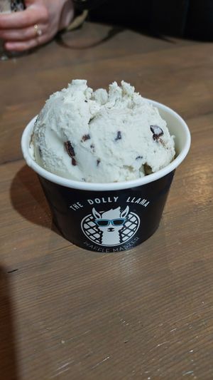  at The Dolly Llama in Los Angeles