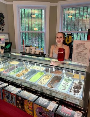 Cute gelato shop with 16 flavors! Almost half of which are vegan! at Unusual Company in Ellicott City