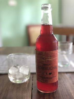 Kombucha  at Kat's Coffee in Talpe