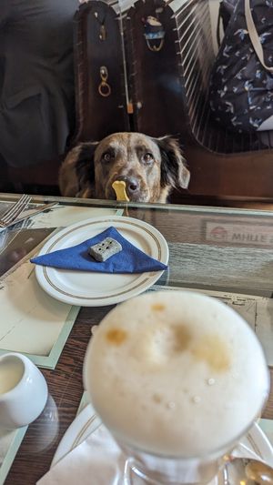  at The Chart Room in Brixham