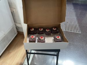 Dákar  at Vegans Terrassa in Terrassa