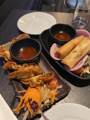 Wonton and springrolls  at Soul Vegan in Edinburgh