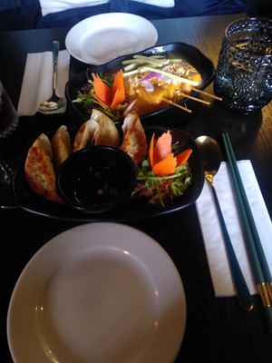 Starters: Satay tofu and gyoza at Soul Vegan in Edinburgh