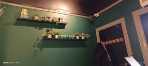  at Soul Vegan in Edinburgh