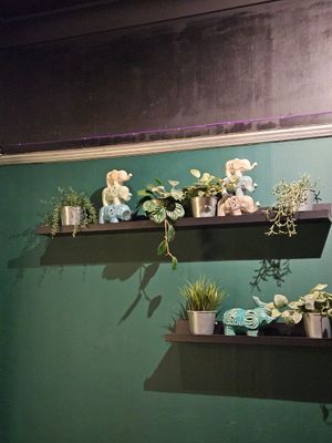  at Soul Vegan in Edinburgh
