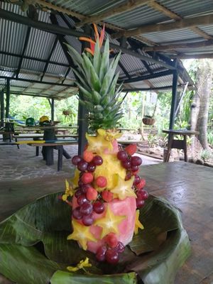 vegan cake  at La Nutria in La Virgen
