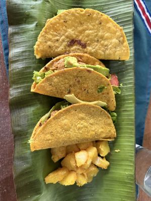   at La Nutria in La Virgen