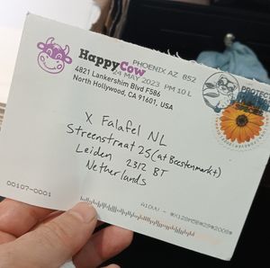  at X Falafel NL in Leiden