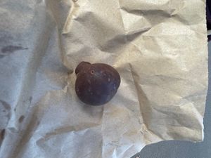 Milo bite  at Milo Cafe and Store in Maryborough