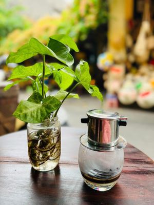  at Thon Da Am in Hoi An