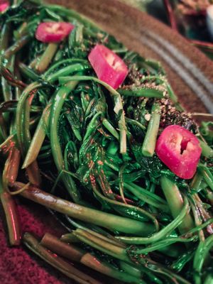  at Thon Da Am in Hoi An