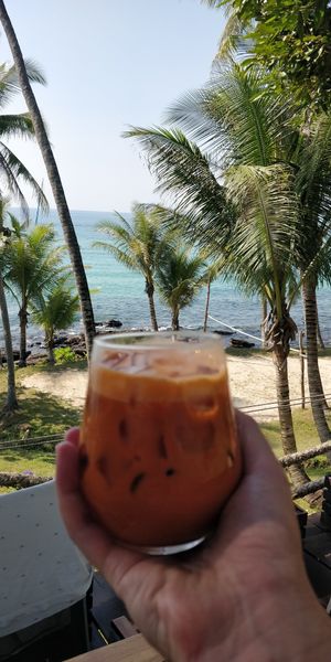 Iced Thai milk tea (not vegan) at Koh Kood Beach Resort in Koh Kut