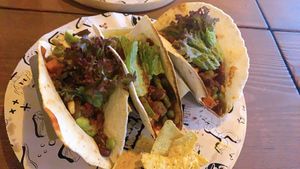 vegan tacos  at Tacoria in Hannover