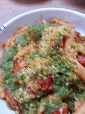  at Canteen at The Eco Park in Porthtowan