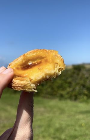 Pastel de nata  at Canteen at The Eco Park in Porthtowan