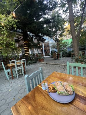   at Chepiche Cafe in Oaxaca