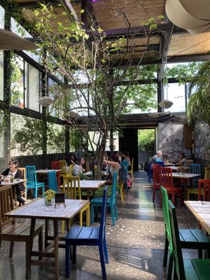   at Punto País  in Santiago