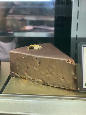   at Bloom Cafe & Cakery in New Delhi