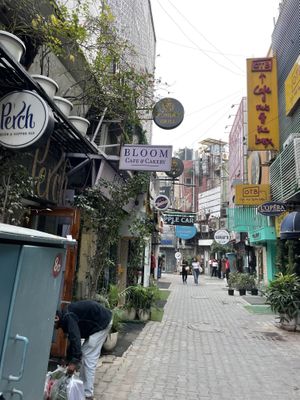   at Bloom Cafe & Cakery in New Delhi