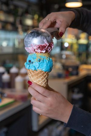  at The Dolly Llama in Ponte Vedra Beach