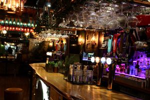 view from the high seats next to the bar counter at Donald Watson's Vegan Bar in Leicester