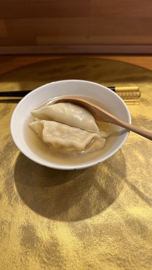 Gyoza  at Vegan Izakaya NIJIYA 虹屋 in Kyoto