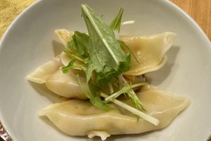 Dumplings with soy saucee #Veganuary at Vegan Izakaya NIJIYA 虹屋 in Kyoto