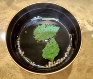   at Vegan Izakaya NIJIYA 虹屋 in Kyoto