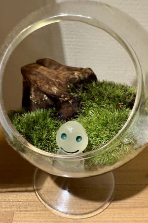 Dining companion  at Vegan Izakaya NIJIYA 虹屋 in Kyoto