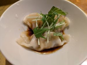 Dumplings at Vegan Izakaya NIJIYA 虹屋 in Kyoto