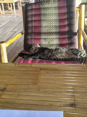  at SweetSoul Lanta in Krabi