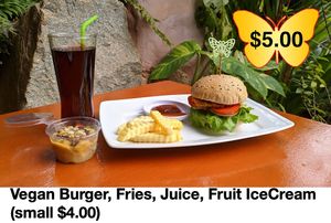 Burger with fries, tomato and chili sauce. Fruit juice of choice and 100% fruit ice cream. at Butterfly Paradise  in Siem Reap
